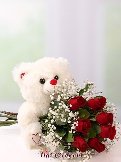 Ayıcık ve Kırmızı Güller