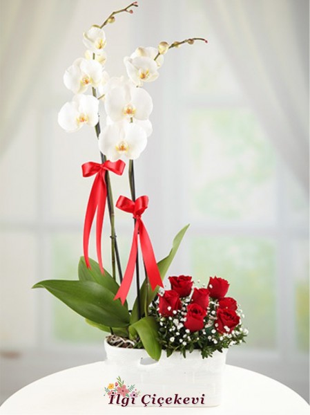 2 Dal Orkide ve Güller