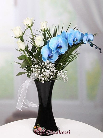 Vazoda Mavi Orkide ve Beyaz Gül