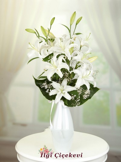 Labut Vazoda Lilyumlar